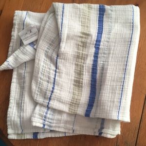 Aden and Anais blue swaddle blanket